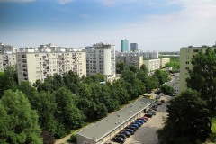 IMG_0959