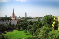 IMG_0993