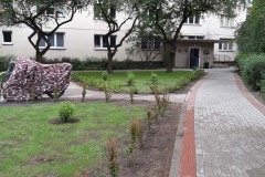 Podwórko po remoncie ul. Smocza 21 Miła 37