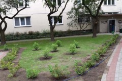 Remont podwórka Smocza 21 i Miła 37
