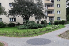 20220727_113325