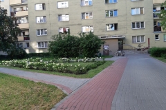 20220720_102509